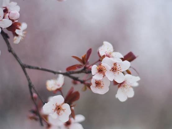 2018-03-19 10.07.48 3 拷贝